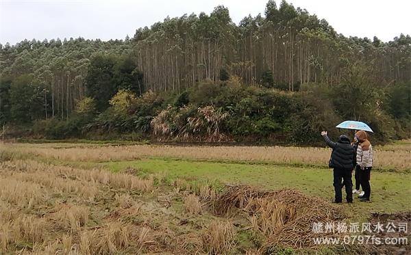 新竹市陈老师带着爱徒寻龙点穴